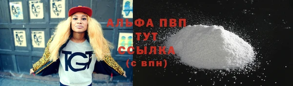 стаф Арсеньев