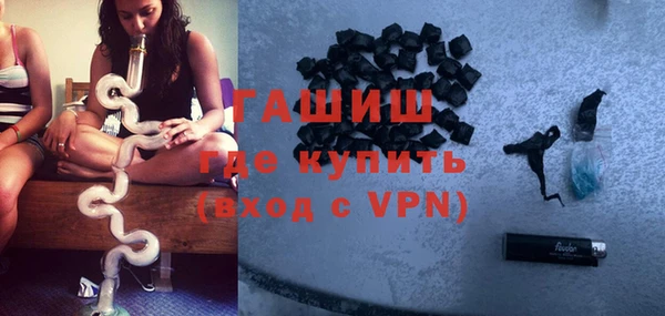 стаф Арсеньев