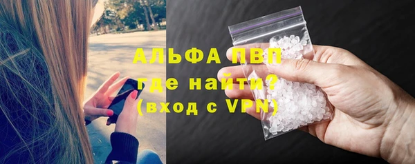 стаф Арсеньев
